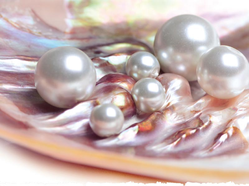 26-2-Ein-Fest-fuer-die-Perle