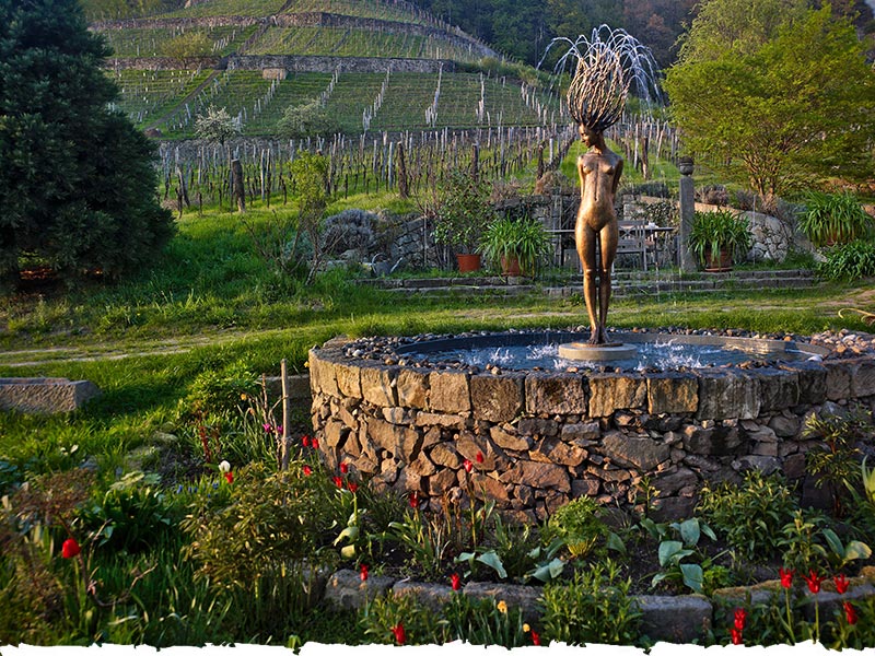 VDP.Weingut Zimmerling Sachsen