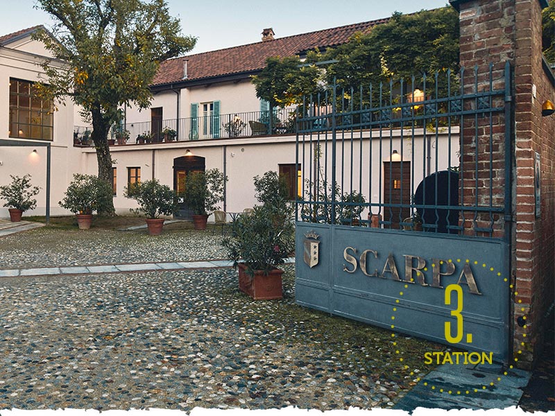 Titelbild-26-02-2025-Der-Trueffelwanderer-3-Station Scarpa