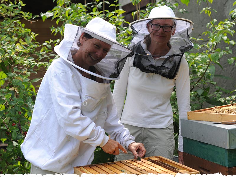Titelbild_Bienenkorb-Dinner_bei_Sophie_Bee_suprised_eat-berlin-Festival