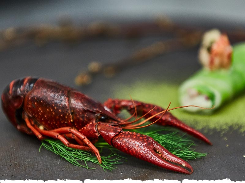Titelbild_Tour_de_cuisine_eat-berlin-Festival
