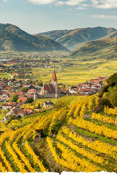 Weissenkirchen_Wachau_Oesterreich_im_bunten_Herbstlaub_und_Weinberge_an_einem_sonnigen_Tag_c_Stefan_Rotter_Titelbild