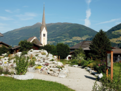 eat! Reise ins Kräuterdorf Hollersbach – nicht mehr buchbar