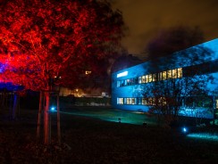 LICHT UND ALGEN