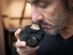 THE GRAND TRUFFLE MENU