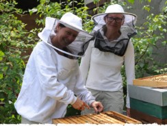 Bienenkorb-Dinner bei Sophie: Bee suprised!