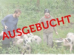 Saugut