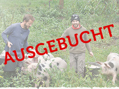 Saugut