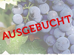Tempranillo – die besondere Rebsorte & Tapas!